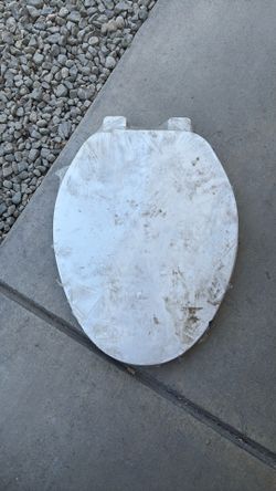 Toilet Seat