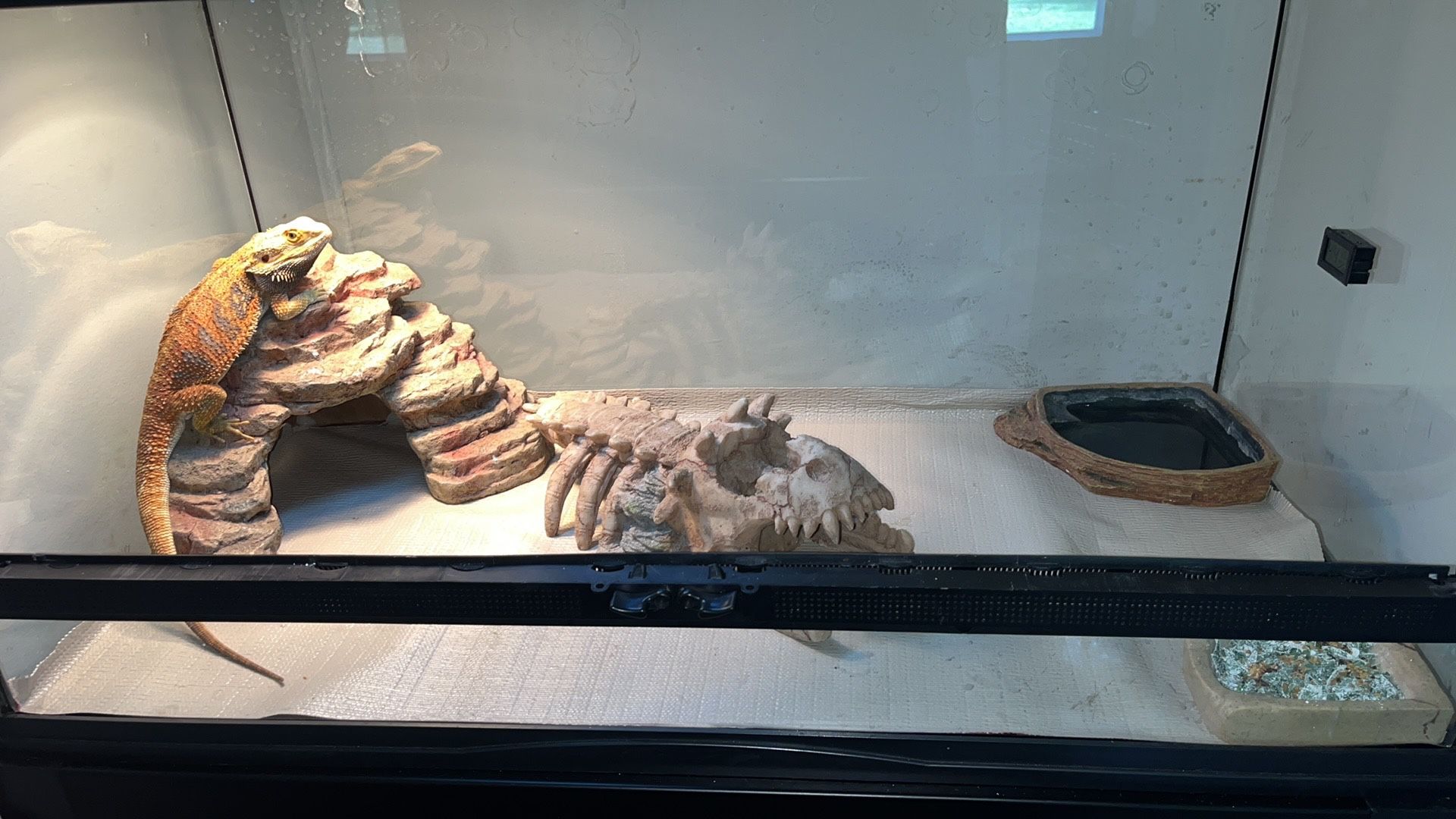 40 Gallon Reptile Tank Tank,All Products : American Fashion Style Bags On Sale