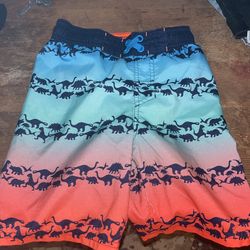 Cat &Jack Water shorts