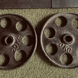 Pair Of  20KG/44LB Weight Plates Cast Iron Weightlifting Fitness Gym 2"