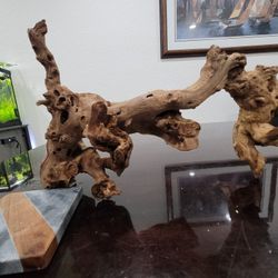 Large Aquarium Reptile Fish Driftwood