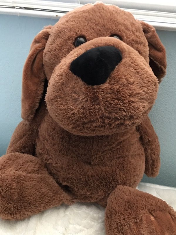 Big teddy bear $15