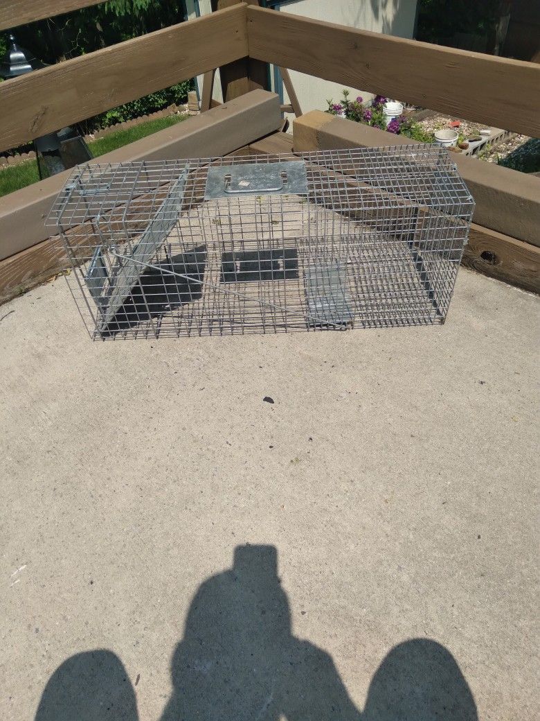 Catch And Release Animal Trap