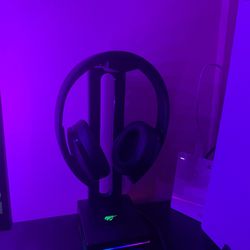 Ps4 Headset And Headset Stand Bundle 