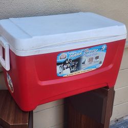 IGLOO 40qt Cooler