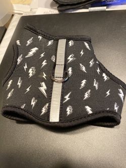 Puppy harness and e collars