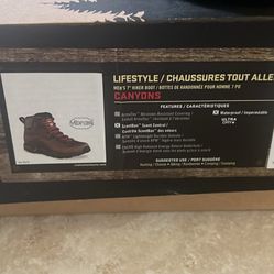 Red Wing (Irish setter)