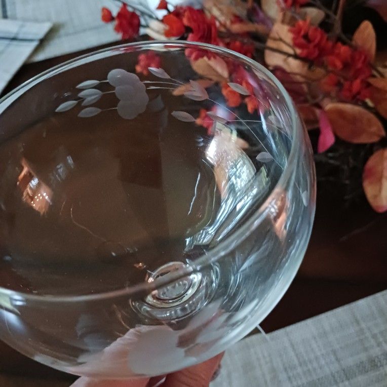 Beautiful Princess House Glasses