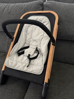 Baby Bouncer