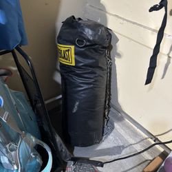 Everlast Heavy Bag 