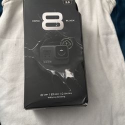 Go Pro 8
