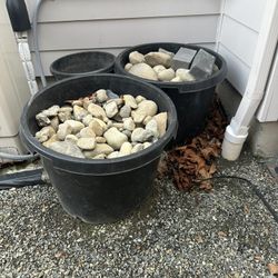 Assorted Rocks 