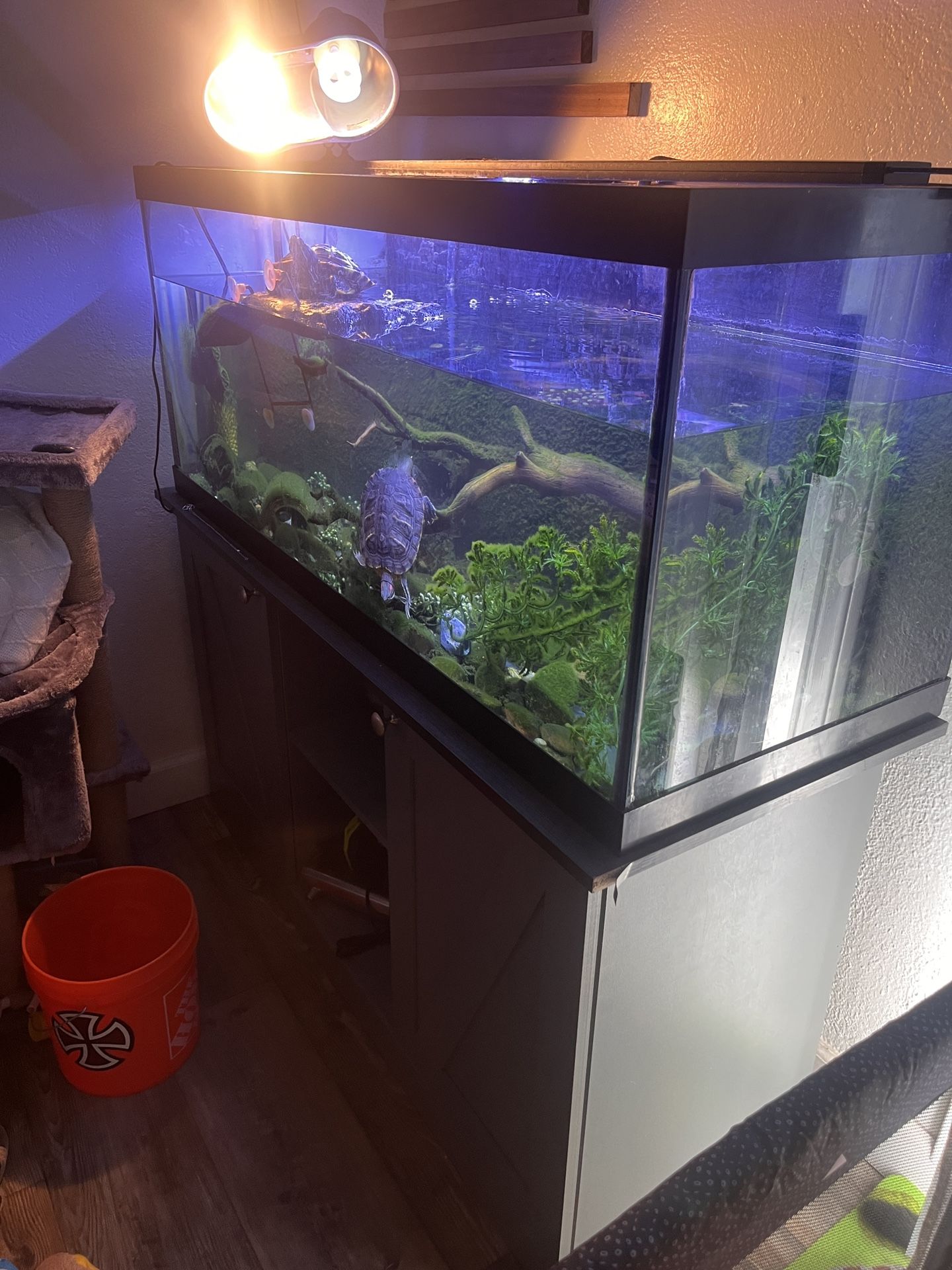 Aquarium