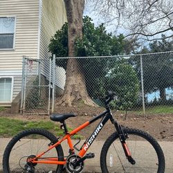 Nishiki Pueblo Mountain Bike – 24” Wheels - Youth Bicycle