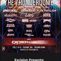 Sunday Portion Wrist Band Excision Thunderdome 