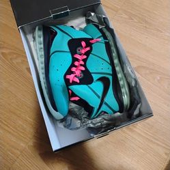 Lebron South beach nikes