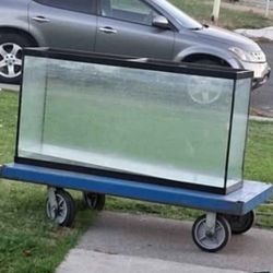 I Have 2 Tanks Left 55 Gal And 65 Gal