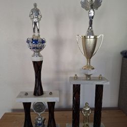 Martial Arts Trophies 