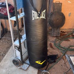 Punching Bag Ever last
