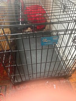 Dog Cage for small or large dog up to 100lbs plus
