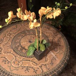 Artificial Orchid In Pot