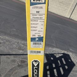 Louisville 6 Foot Ladder 