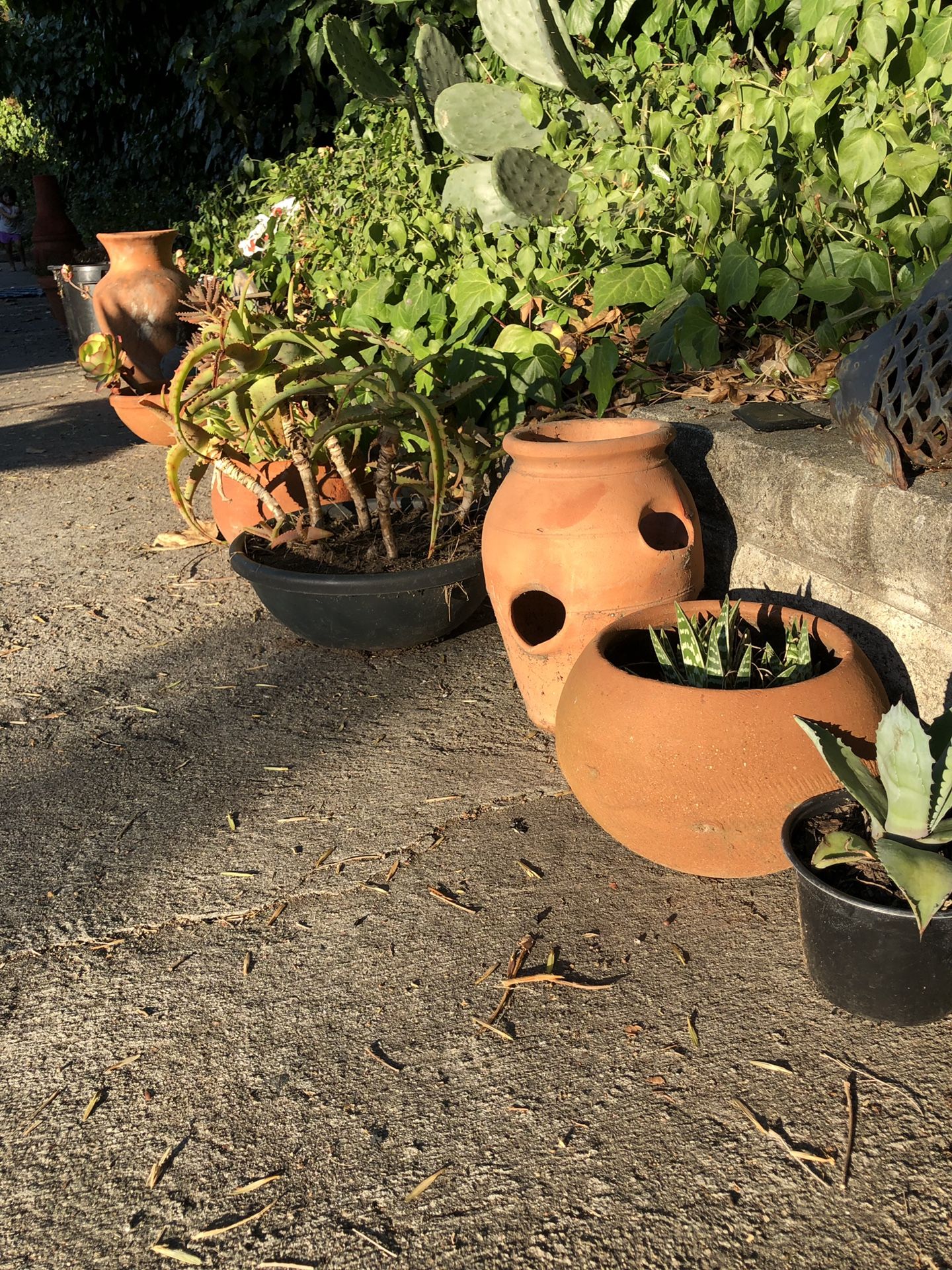 Clay pots and chiminea