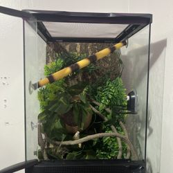 Reptile Terrarium 