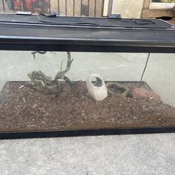 Reptile cage