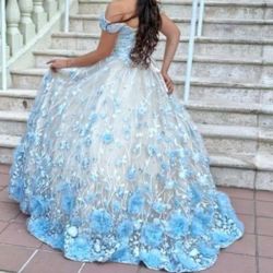 Quinceanera dress