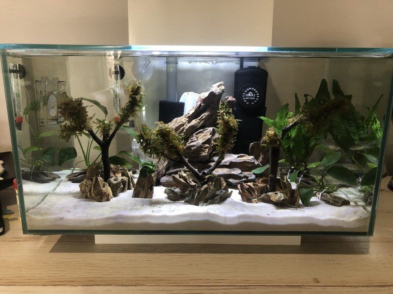6 Gallon Fluval Edge