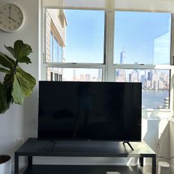 TV + TV Console ($710 Value!)