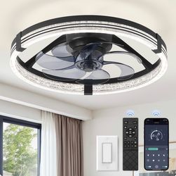 Ceiling fan with lights