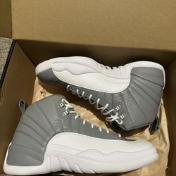 jordan 12 stealth 
