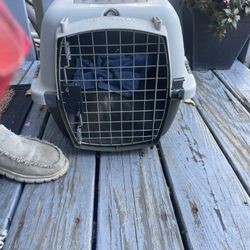 Pet Carrier For Small Dog Or Cat.east Haven