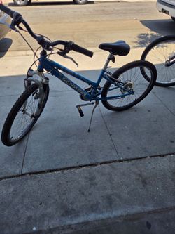 Schwinn bike