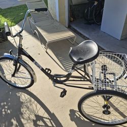 Sun Adult Tricycle