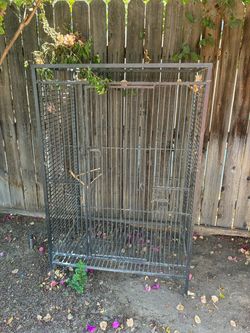 Large bird/parrot cage