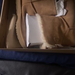 Uggs Boot