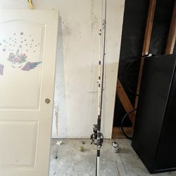 2 Fishing Rod With Reels 