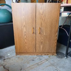 Storage Cabinet 