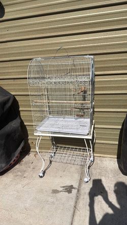 cage for little birds / gaula para pajaritos