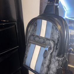 Coach bag, White And Blue