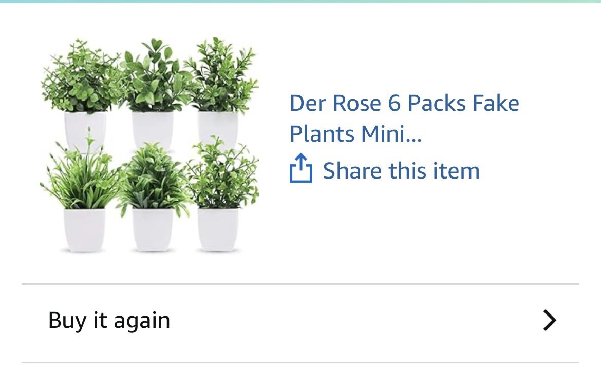 Amazon 'Der Rose' 6 Packs Fake Plants Mini
