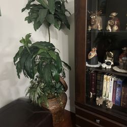 Fake Plant 