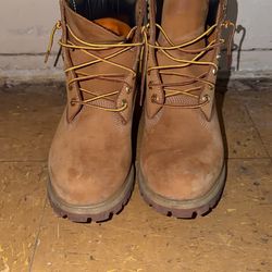 Timberland Wheat Boot 6Inc