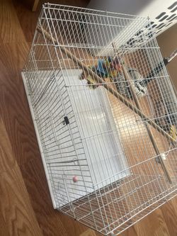Bird Cage