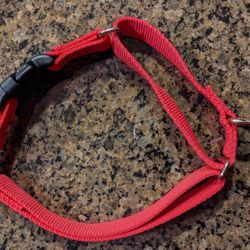 Martingale Dog Collar