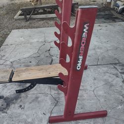 Weight Bench
