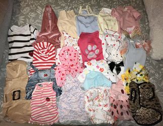 FEMALE MEDIUM-LARGE DOG CLOTHES 